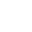 Vidu